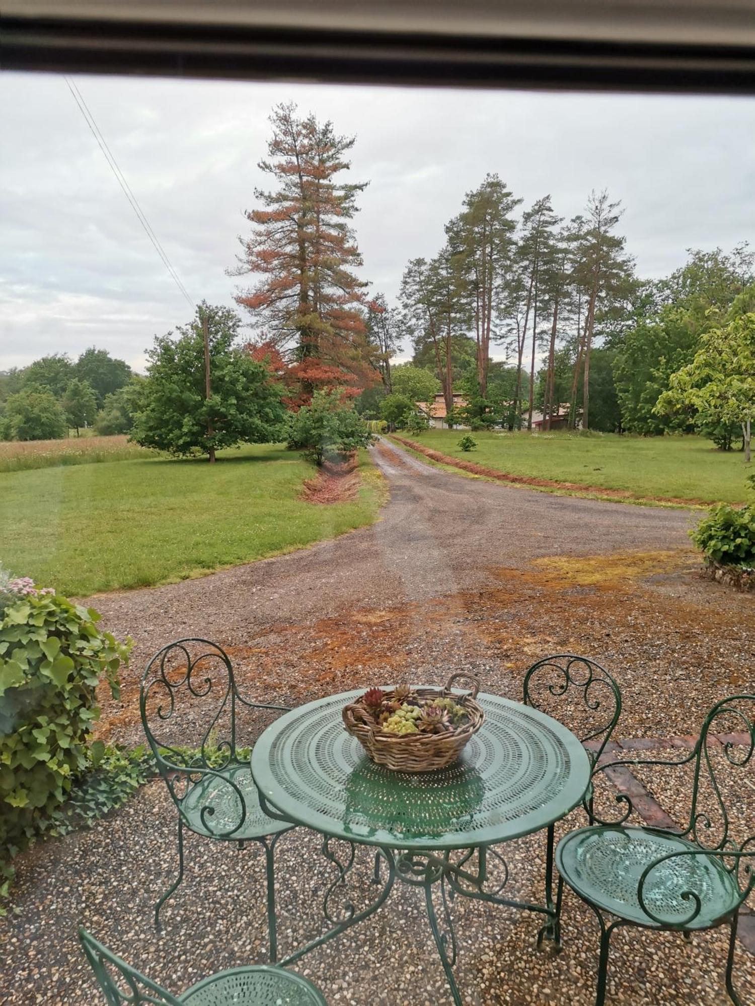 Bed and Breakfast Castel La Bergerie Laglorieuse Esterno foto